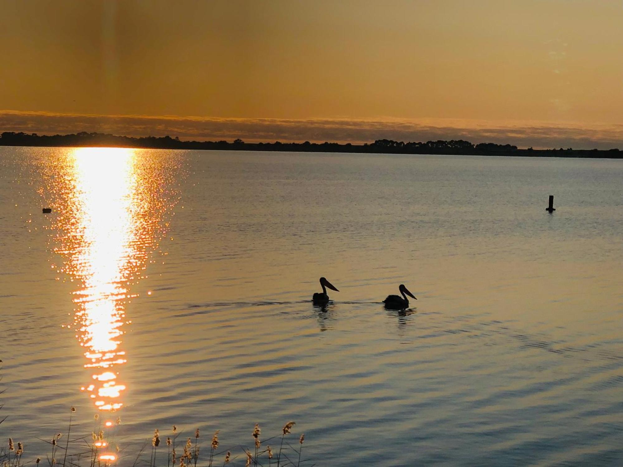 Lake Boga Caravan Park Εξωτερικό φωτογραφία